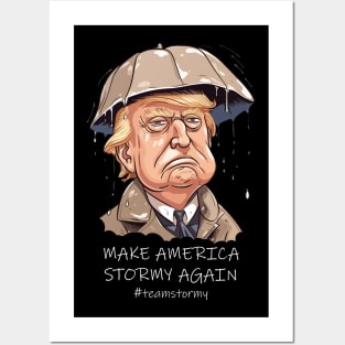 Make America Stormy Again Posters and Art